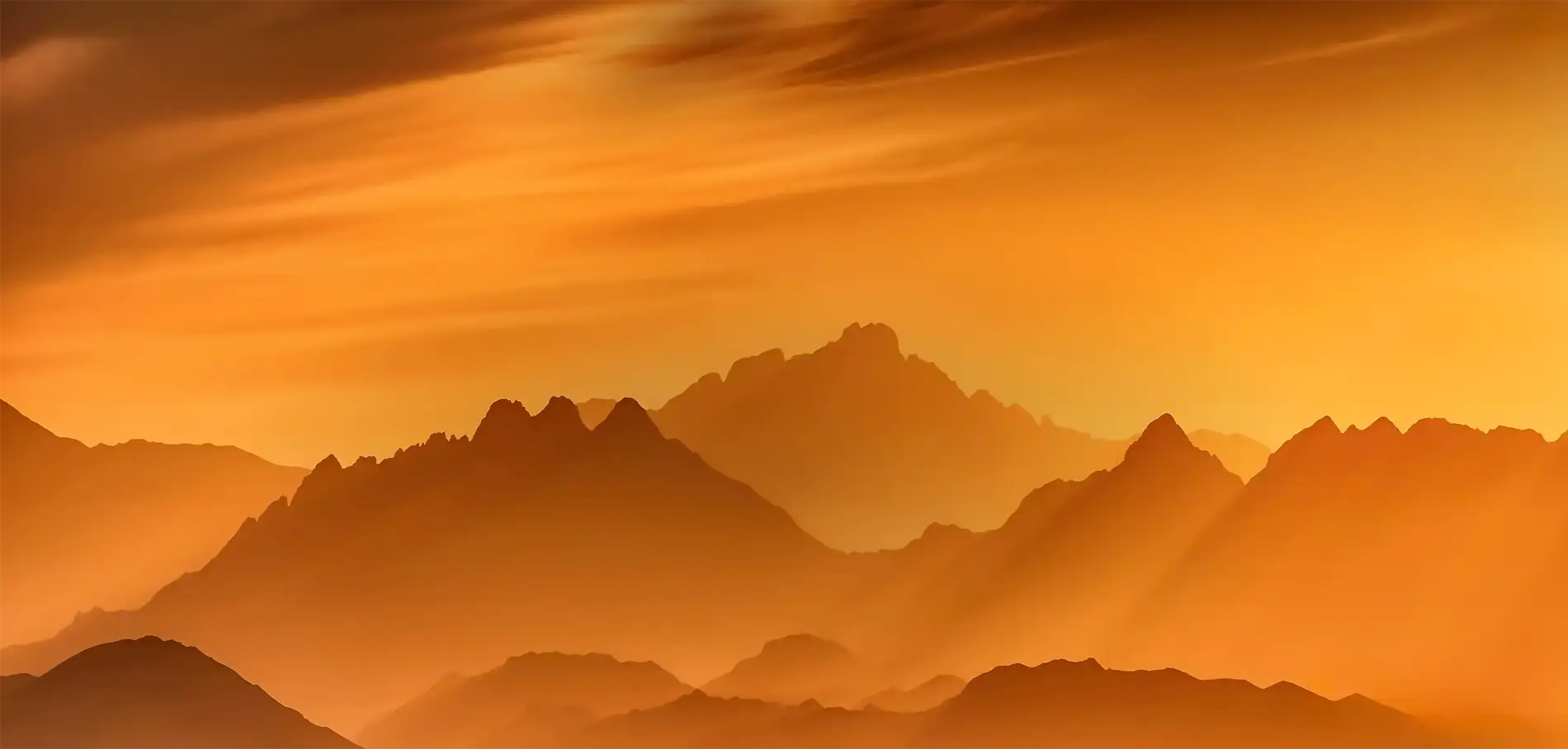 36d578af-9e4b-42a7-83d1-91bda1680897