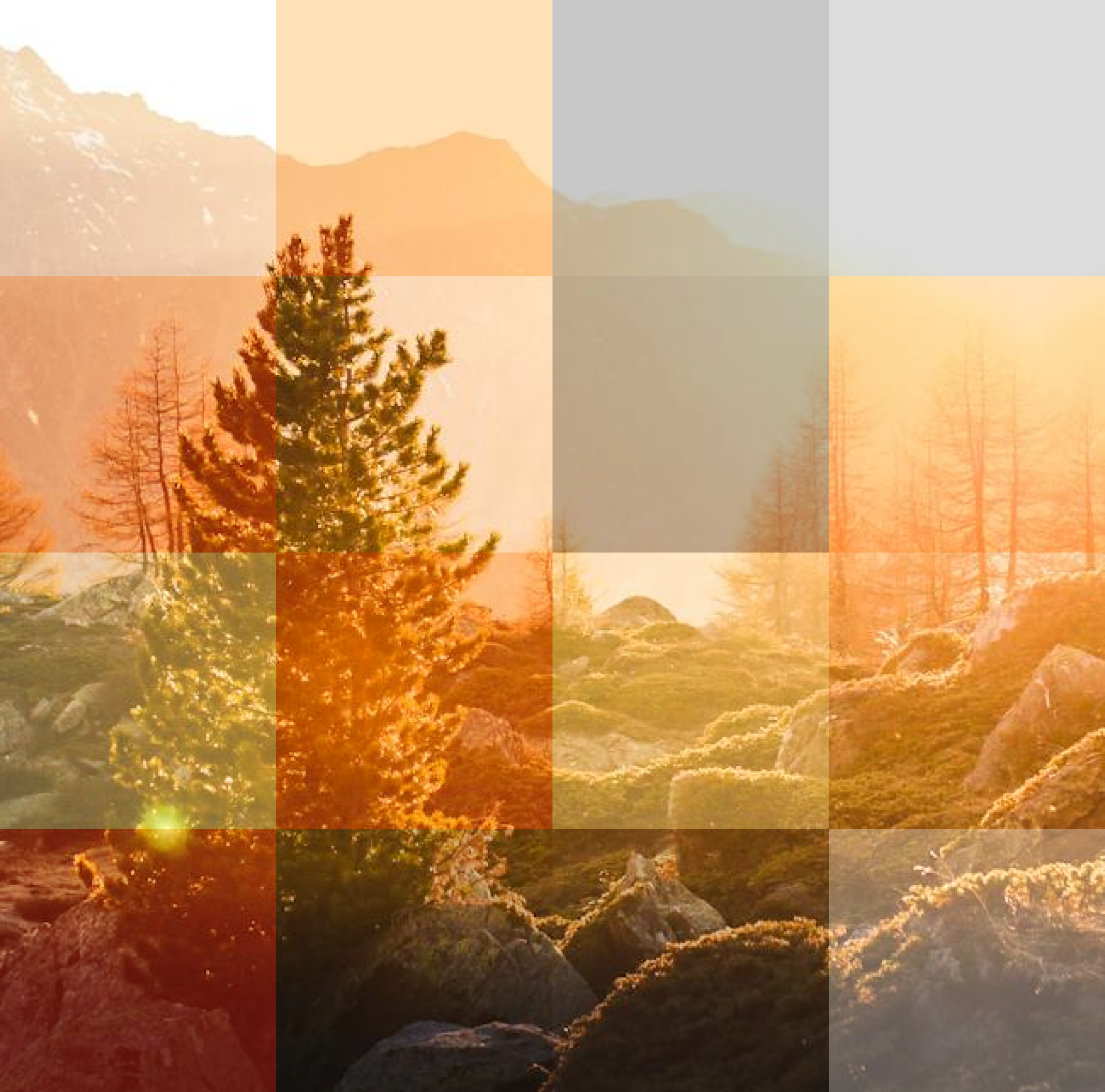 84c20f98-7c6f-4475-8290-e3dd0d8e6b97